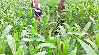 Bhabhi Ko Devar Ka Kala Mota Lund Aaya Lisand, Corn Field Me Bhabhi Ki Chudai Outdoor Hindi Audio