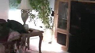 Wicked Sexy Melanie Porn Slut Part 2