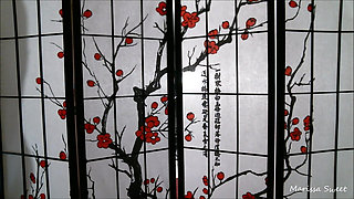 Silhouette Tease / Ball Domination