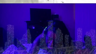 Barbiie Said: Hi, Guys! …..new Scence Compilation