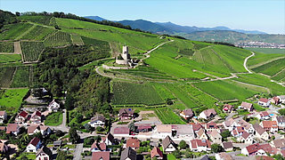 2 Women to Take Care of Me