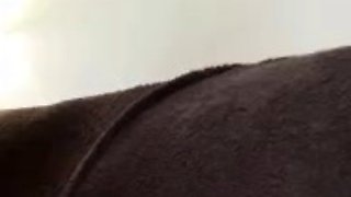 Shay Sights Sloppy Bj & Footjob From Sexy Busty Milf