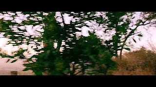 How Abella Danger Got to the Brazzers 20th Gala!?