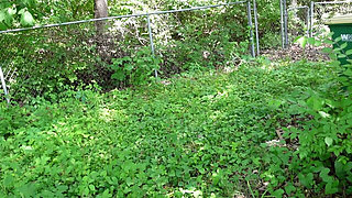 Squirting in a Forest