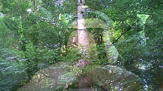 Taxi Rosebud Prolapse Tease - Gaping Anal Popping Out Wet