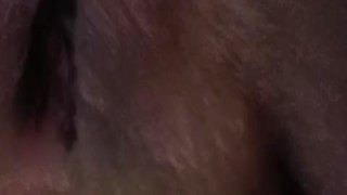 My Wife's Sweet Mature Pussy