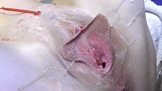 3 Licking Pussy Spread Far From Very Close