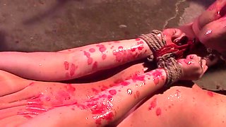 Jamey Janes - Pure Humiliation