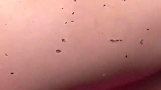 Addison O'riley Flashing Tits & Pussy in Public Gmdg0637