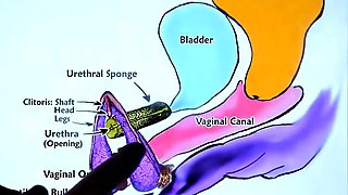 Hot blonde guy pounds petite Asian beauty in hardcore sex