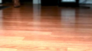 Fem Bryce aka fembryce OnlyFans - I bought myself some new