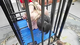 Crazy Sex Video Bdsm Unbelievable Unique