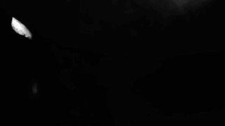 Village Bhabhi Peeing in Bathroom and Fucked by Husband bangla mast video