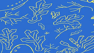 The Selkie (part 5)
