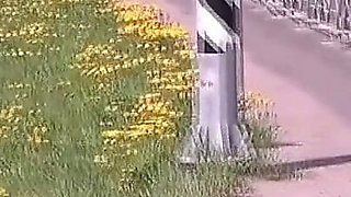 Flashes at the Bus Stop
