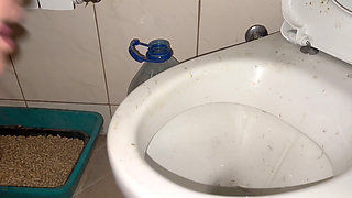 Licking Dirty Floor and Toilet, Flashing Head in It