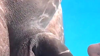 Cockboarding Underwater Blowjobs Throat Fucking