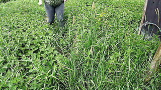 Titslapping Session in the Cowshed