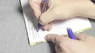 Reneenicolecd - update #80 - Journal Entry four - Memories - Aug 06, 2026
