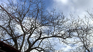 Perfect day for big tits