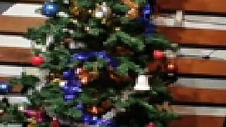 Mother Christmas the Dominatrix - 1