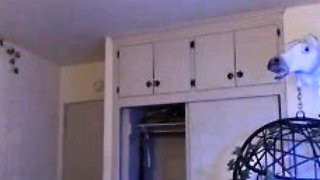 Cute curly brunette solo webcam masturbation