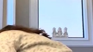 Brunette Solo Webcam Masturbation