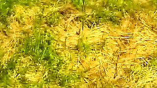 Hairy MILF Blonde Outdoor Casting - Bushy Mature Beauty Has Fun