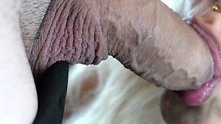 Closeup: Sucking a Fat Cock