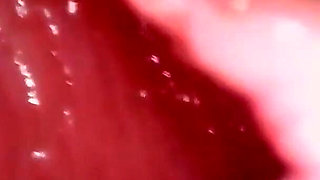 Giantess Cirilla - Pussy Pocket