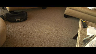 Exhibitionists on the Net