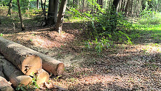 She Walks Topless Through the Woods and Gets Her Tits Pounded